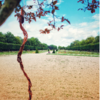 capture d’écran 2025 11 29 à 16.27.06